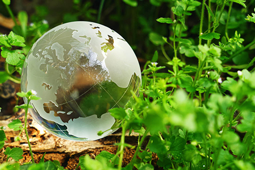 エコフレンドリー